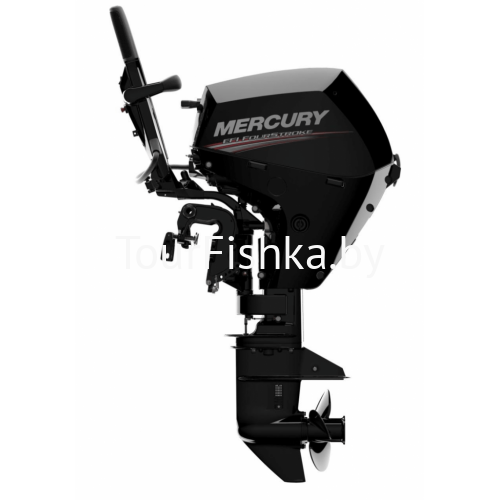 Лодочный мотор Mercury ME F20 EFI 4-тактный