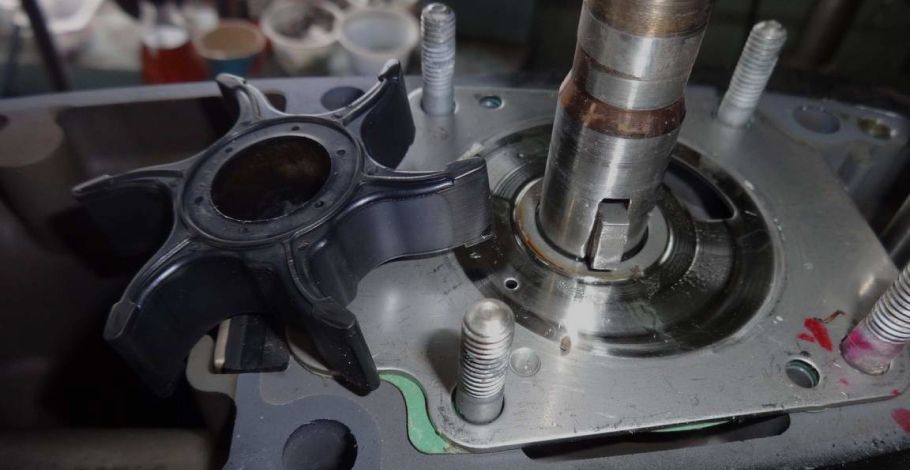 zamena-krylchatki.jpg zamena-krylchatki.jpg