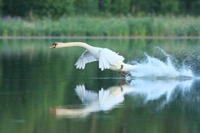 a0cb24f32ed8cf114afa23aad8a0061f_6_11zon.jpg a0cb24f32ed8cf114afa23aad8a0061f_6_11zon.jpg