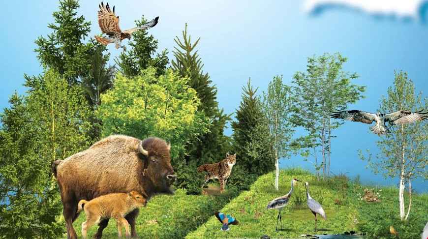 000022_1599501550_405856_big_2_11zon.jpg 000022_1599501550_405856_big_2_11zon.jpg