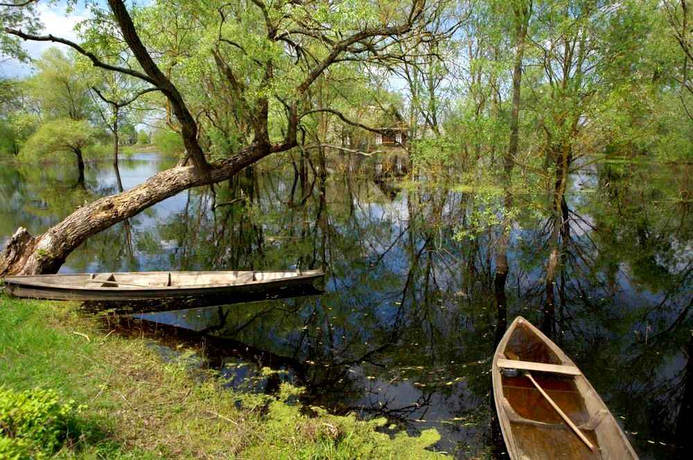 15fe0fa7b36a321775ad199b9c279715_1_11zon.jpg 15fe0fa7b36a321775ad199b9c279715_1_11zon.jpg