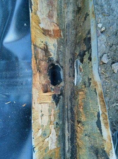7be3c_thumb[1].jpg