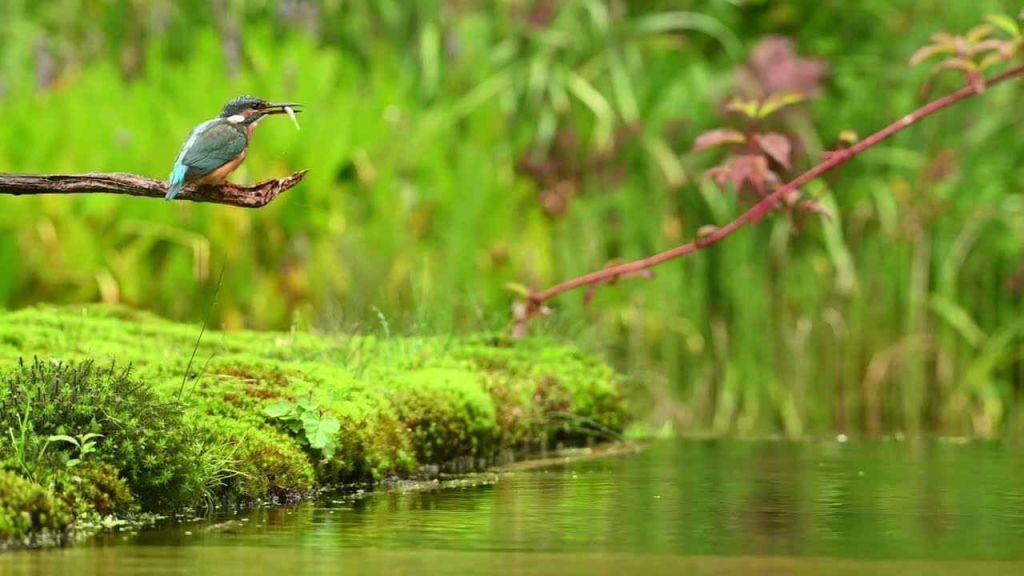 maxresdefault_8_11zon.jpg maxresdefault_8_11zon.jpg