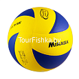 Аренда волейбольного мяча | Tourfishka.by
